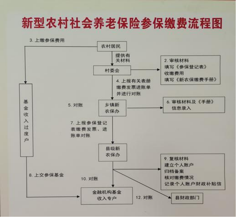 亳州农村医保和社保有什么区别(农村医保跟社保的区别)